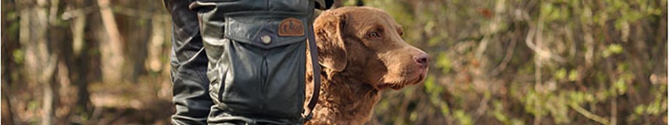 Deutscher Retriever Club e.V. Deutscher Retriever Club e.V.