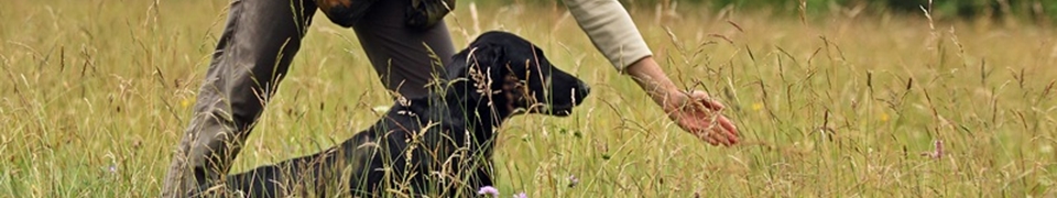 Deutscher Retriever Club e.V. Deutscher Retriever Club e.V.